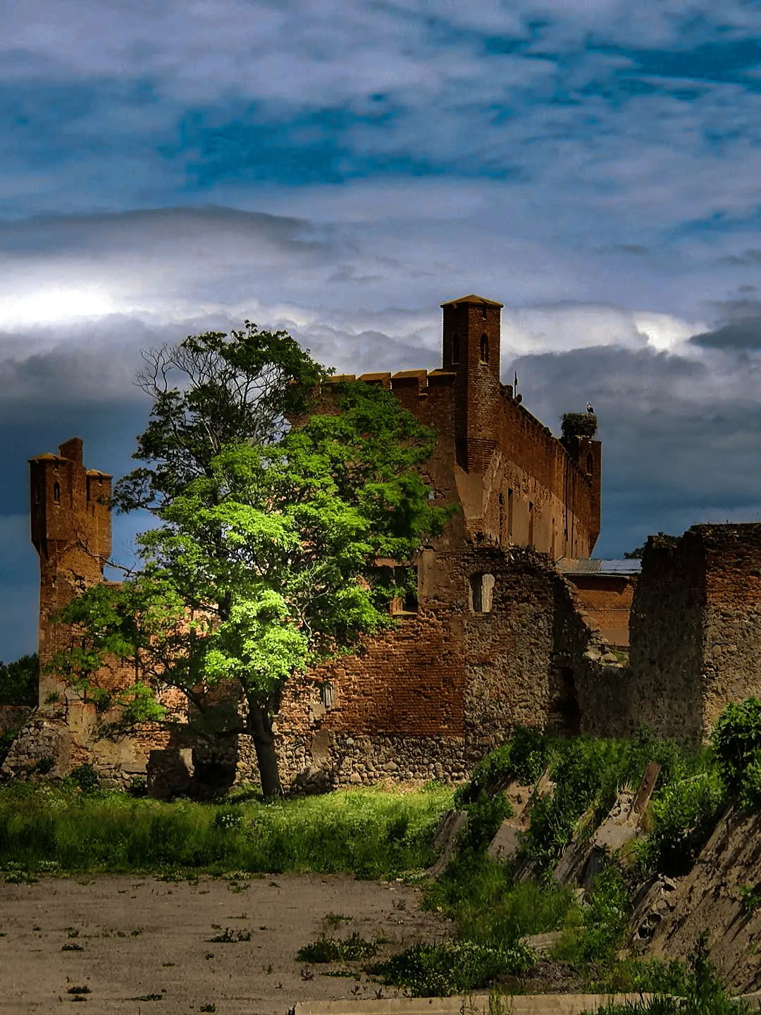 Руины замка Шаакен в поселке Некрасово Калининградской области